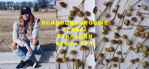 прущая мука Абаза