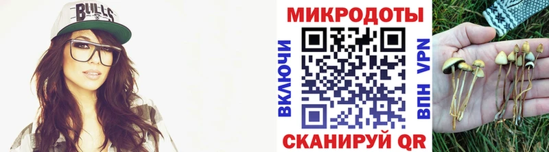 Галлюциногенные грибы Psilocybe  наркота  Стрежевой 
