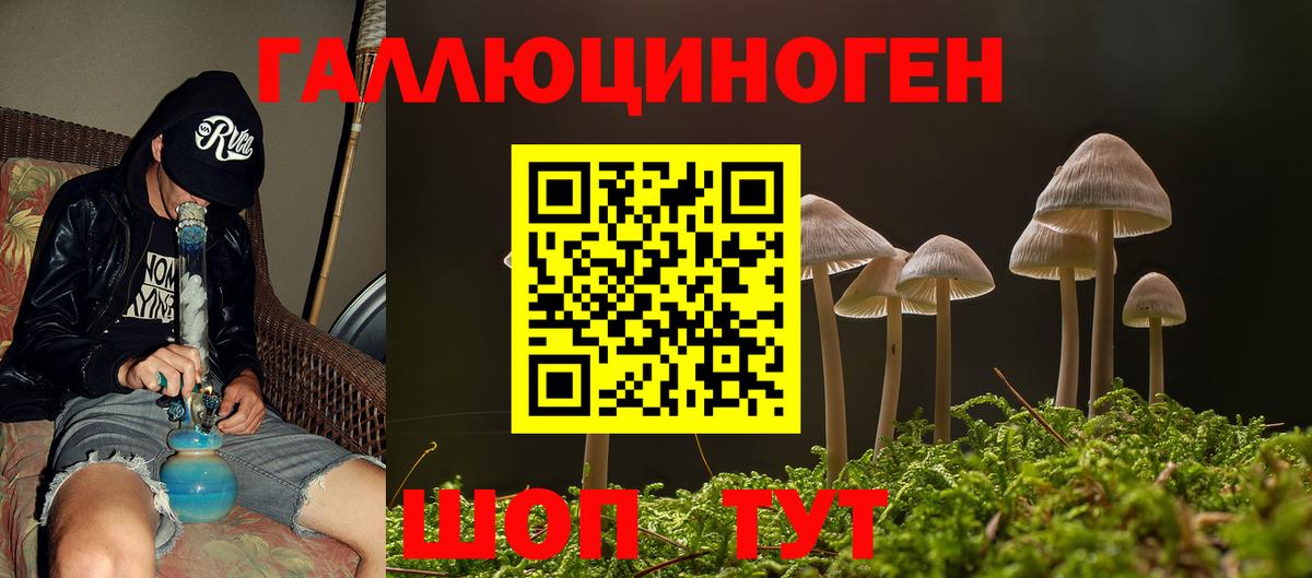 Псилоцибиновые грибы Psilocybine cubensis  Вход с VPN  Стрежевой 