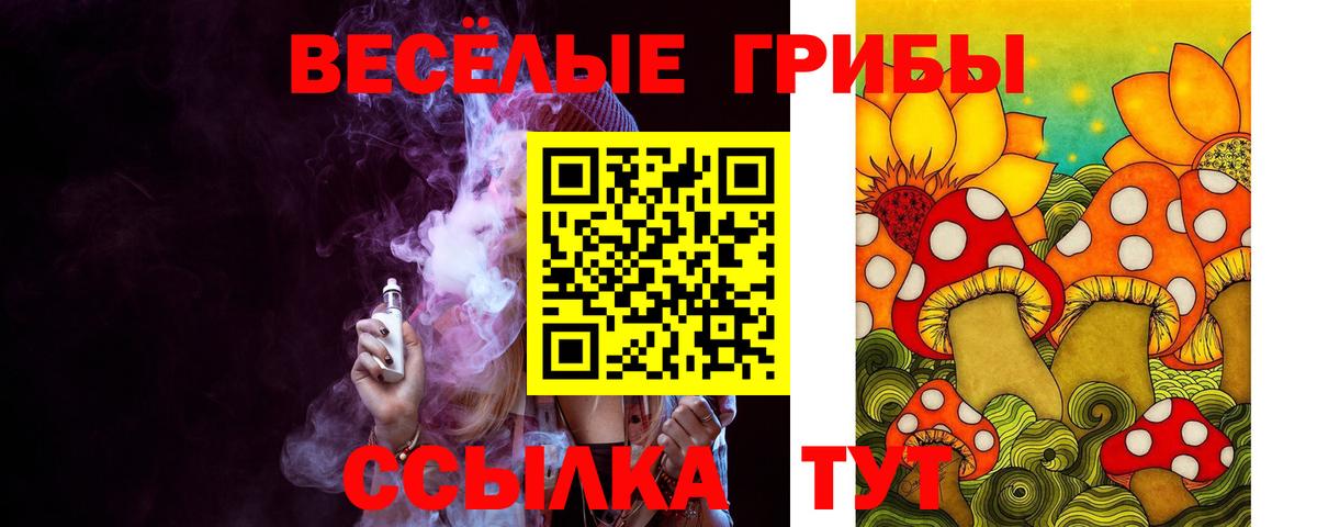 Псилоцибиновые грибы Psilocybine cubensis Стрежевой